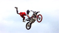 Moto Mayhem.