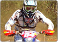 AORC action