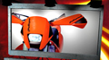 Polisport h/guards